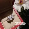 Luz de Joyería Lujo Flor Agrupada Gota de Rocío Borla Flor Enredadera Mariposa Collar Totalmente Diamantado Juego de Pendientes de Pétalos