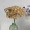 [Niebla Natural Hortensia] Flor Eterna Flor Seca Hortensia Anna Hortensia Lobular Material para Boda DIY Venta al por Mayor