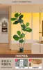 2026 Planta Verde Realista Higuera de Hoja de Violín Maceta de Piso Planta de Interior Grande Planta Biónica Adorno Decoración de Sala de Estar Flor Árbol Falso