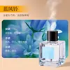 Difusor de aromaterapia sem chama de grande capacidade para fragrância duradoura, ideal para banheiros de hotel para eliminar odores e purificar o ar; uma peça decorativa de alta qualidade disponível para atacado
