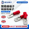 Terminal de anillo de cobre FDFN MDDN1.25-187 para cableado, terminal preaislado tipo varilla