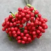 Directo de fábrica pastoral nórdico simulación fruta de baya alta calidad racimos de simulación de bayas de arándano fruta silvestre pequeña colocado