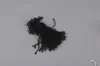 Flechas de Aeronave Descartáveis em Formato de Bala, Corda de Algodão, Fio de Cera, Vários Comprimentos, Tamanhos Médio e Grande, Branco, Preto, Bege, em Estoque