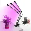 Lámpara de Clip Transfronteriza de Amazon Lámpara LED para el Crecimiento de Plantas USB Se Puede Programar y Atenuar Espectro Completo Crecimiento