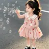 Falda Floral de Verano para Niñas 2026 Nuevo Elegante Vestido Rosa de Princesa con Rayas de Corazón Vestido sin Mangas para Bebé