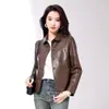 Fornecido diretamente pelo fabricante, novo modelo 2026 jaqueta curta feminina casual de moda em couro proteico com gola de lapela, tops no atacado