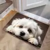 Tapete de Chão de Lama Diatomácea de Cachorrinho Fofo Banheiro Absorção de Água Secagem Rápida Antiderrapante Almofada de Pé Box de Banho Resistente à Sujeira Tapete de Banheiro