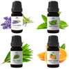 Óleos Essenciais Individuais OEM Lavanda Rosa Jasmim Limão Menta Aromaterapia Óleos Essenciais Puros Óleos Essenciais para Spa Massagem