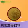 Extrato de Centella Asiática 30:1 Pó de Centella Asiática Glicosídeos de Centella Asiática/Ácido de Centella Asiática Extrato de Centella Asiática Frete Grátis