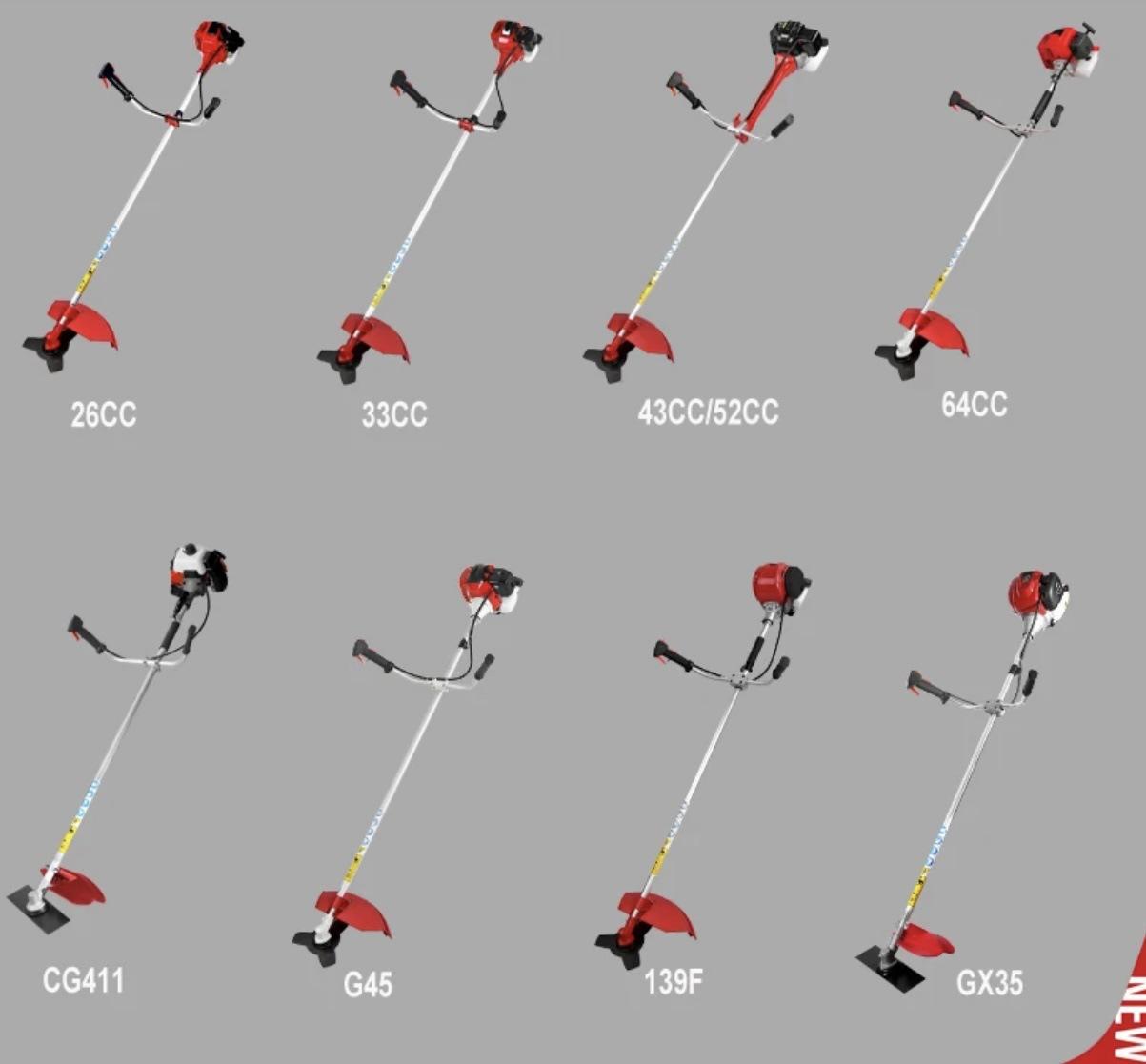 微信图片_20231118131306