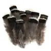 80 Tipos de Penas Naturais de Faisão, Penas Reais, Decorações Nativas Americanas, Acessórios DIY, Acessórios de Cabelo, Peças para Brinquedo de Vara para Gato