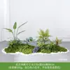 Planta Artificial Empilhada para Paisagismo Sob Escada, Samambaia & Pteri