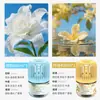 Novo Modelo para Entrega: Zhumeng Casa Celebridade da Internet Sem Fogo Líquido Refil de Aromaterapia para Quarto de Menina Fragrância Gaiola de Pássaro Pequeno Perfume