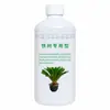Solução nutritiva especial para Cica, Fertilizante para bonsai de Cica, Fertilizante especial para Cica em vaso, Medicamento especial para prevenir amarelecimento e secagem das folhas