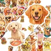 Compra Directa Transfronteriza de 50 Lindos Pegatinas Decorativas de Perro Golden Retriever Pintadas a Mano con Graffiti para Diarios Creativos y de Viajes DIY