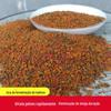 Isca fermentada de maltose atacado isca para todas as estações buraco negro carpa cruciana isca para pesca selvagem atacado 500 gramas