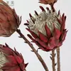 Venda Direta da Fábrica de Galhos Grandes Simulados de Flores Imperiais para Decoração de Casa, Flores Artificiais para Decoração Suave, Arranjos Florais, Decoração de Casa Nórdica