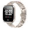 Compatible con Fitbit Versa/Versa2/Lite H Tipo Correa de acero inoxidable Hebilla de mariposa Correa de acero Correa de reloj