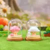 Isla del Mar Lunar Caja Misteriosa Dibujo Animado Figura Creativa Adorno de Escritorio Regalo para Amigos y Mejores Amigos Regalo de Vacaciones Dropshipping