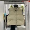 Jaqueta colete de plumas feminina estilo coreano, básica, folgada, com gola alta, para outono e inverno, casaco quente de plumas de pato branco, moderna