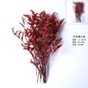 Flores Secas e Frutas Secas Material DIY Pinhas de Algodão Canela Limão Adereços de Tiro Jardim de Infância Pacote de Material Artesanal DIY