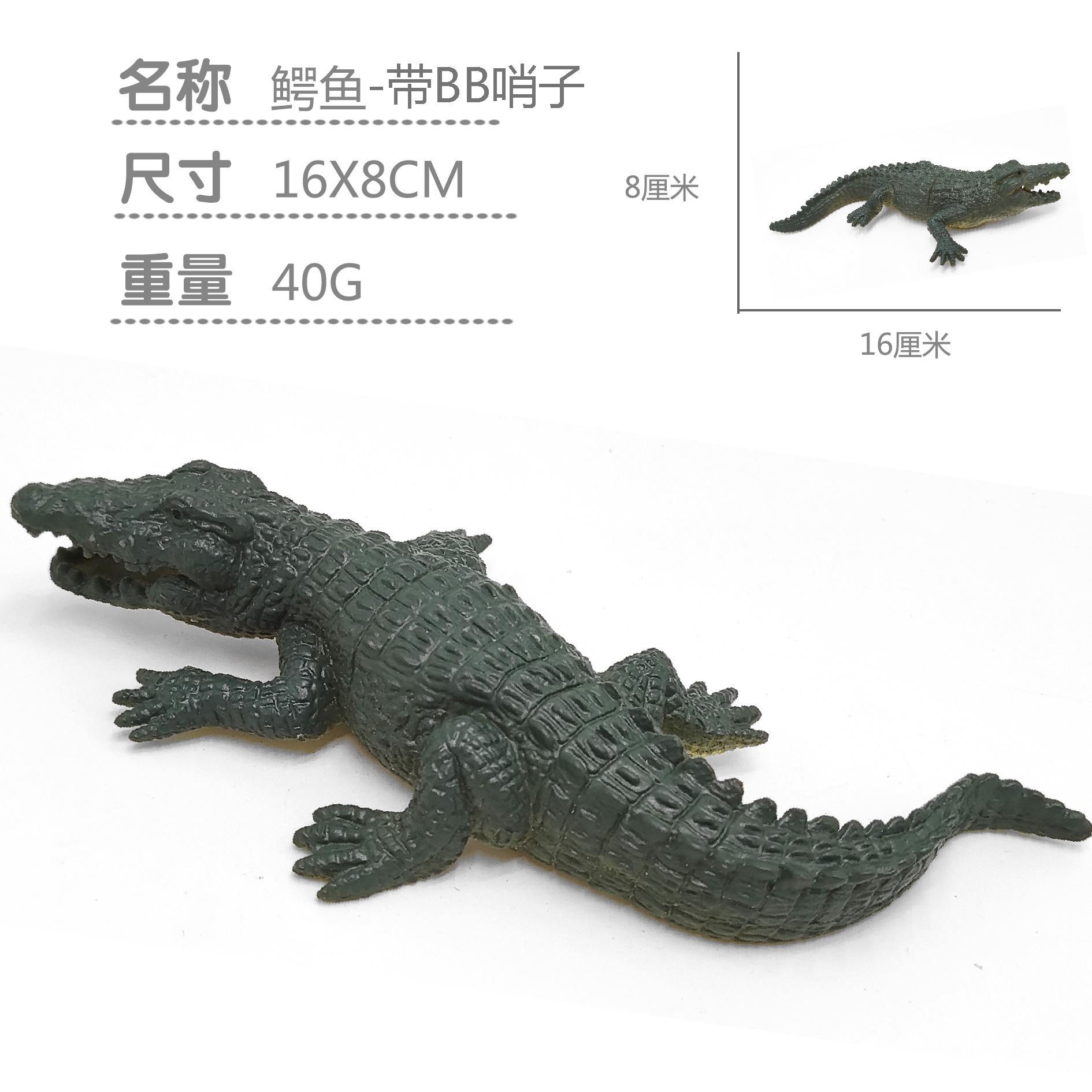 a墨绿色鳄鱼尺寸图