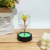 Flor Preservada em Acrílico Rosa com Folha de Ouro e Lâmpada LED Quente Presente de Dia dos Namorados Presente de Aniversário Fornecimento Transfronteiriço