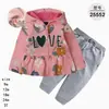 Comercio Exterior Ropa Infantil Primavera y Otoño Conjunto Infantil de Dos Piezas Material Sudadera Sudadera con Capucha Ropa Infantil para Bebés Ropa de Salida [Al por Mayor]