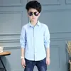 Camisa de primavera 2023 para niños versión coreana de camiseta interior de manga larga para niños color liso camisa para bebé ropa para niños una generación de pelo