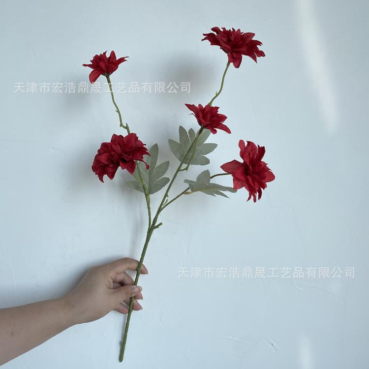 微信图片_202208161554355_副本