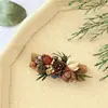 Imanes de refrigerador de la serie de plantas de canela, meticulosamente hechos a mano con rodajas de madera de frutas secas, presentando un diseño natural temático del bosque, de nicho y creativo
