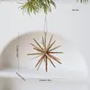 Novas Decorações de Natal Decorações de Árvore de Natal Cor Champanhe Glitter Branco Acrílico Transparente Estrela Explosiva