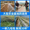 Suporte de Arco de Shed em PRFV Anticongelante Neve Campo de Vegetais Proteção Solar Estrutura de Estufa Venda por Atacado Viveiro Sólido de Mudas Jardim de Flores Galpão de Plantio de Gengibre Poste
