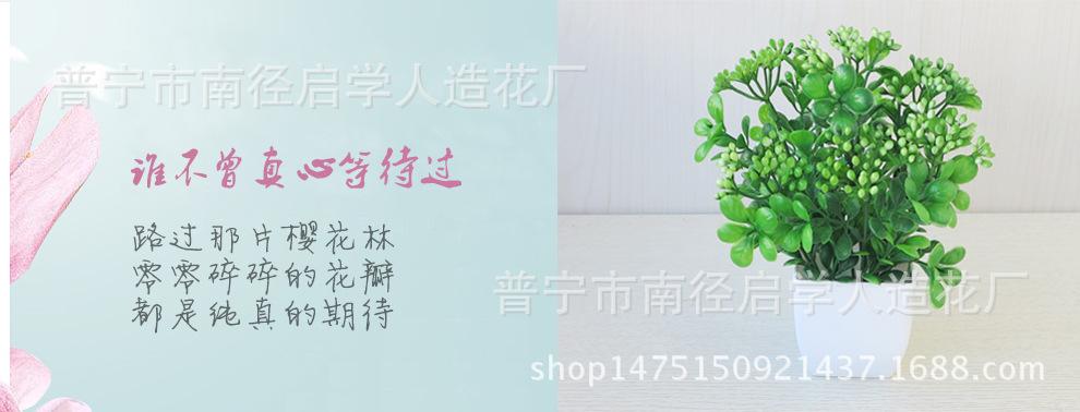 56e66020ea1cd_05