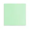 Guardanapos Coloridos Descartáveis para Festas, Guardanapos de Papel Quadrados de Cor Sólida, Suprimentos de Feriado para Decoração de Mesa de Restaurante Amazon Transfronteiriça