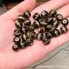 Coleção de Pingentes de Colar de Contas Dzi de Ágata Envelhecida com Padrão de Ferradura Infundida em Resina Taiwanesa Estilo Xizang Levemente Imperfeitos Acessórios DIY Venda por Atacado