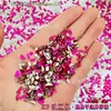 Decorações de unha Yiwu strass misturado mini tamanho pequeno formato chato strass misturado k9 champanhe joias atacado fábrica