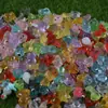 Joias de Resina de Animais Pequenos Mistos Luminosos Acessórios para DIY Grampo de Cabelo Aro de Cabelo Venda por Atacado Transfronteiriça Enfeites de Micro Paisagem Paisagismo