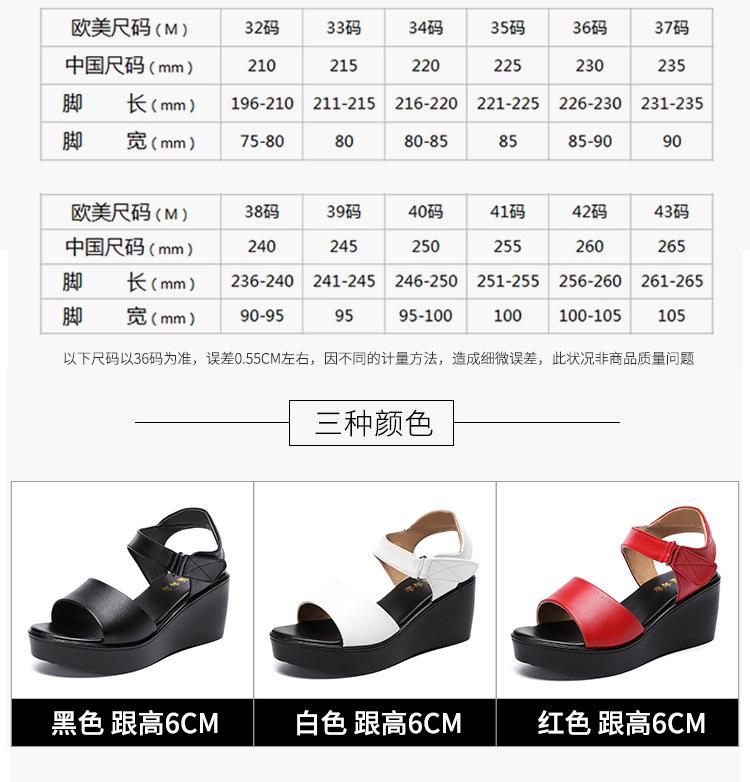 详情_05.jpg