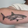 Artículos Populares Transfronterizos: Tigre Oscuro Audaz, Pez, Águila, Marcas de Rasguño de Escorpión, León Animal Pegatinas de Tatuaje Temporal