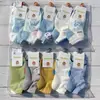 Nuevos calcetines de malla de algodón tipo mocasín para niños y adultos, temporada de primavera y verano, set de dibujos animados, varios colores, estilo preppy deportivo para estudiantes, calcetines japoneses y coreanos