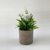 Ramo de plantas verdes amazónicas en maceta para el hogar, habitación, porche suave, adornos transfronterizos, pequeñas macetas, fábrica al por mayor