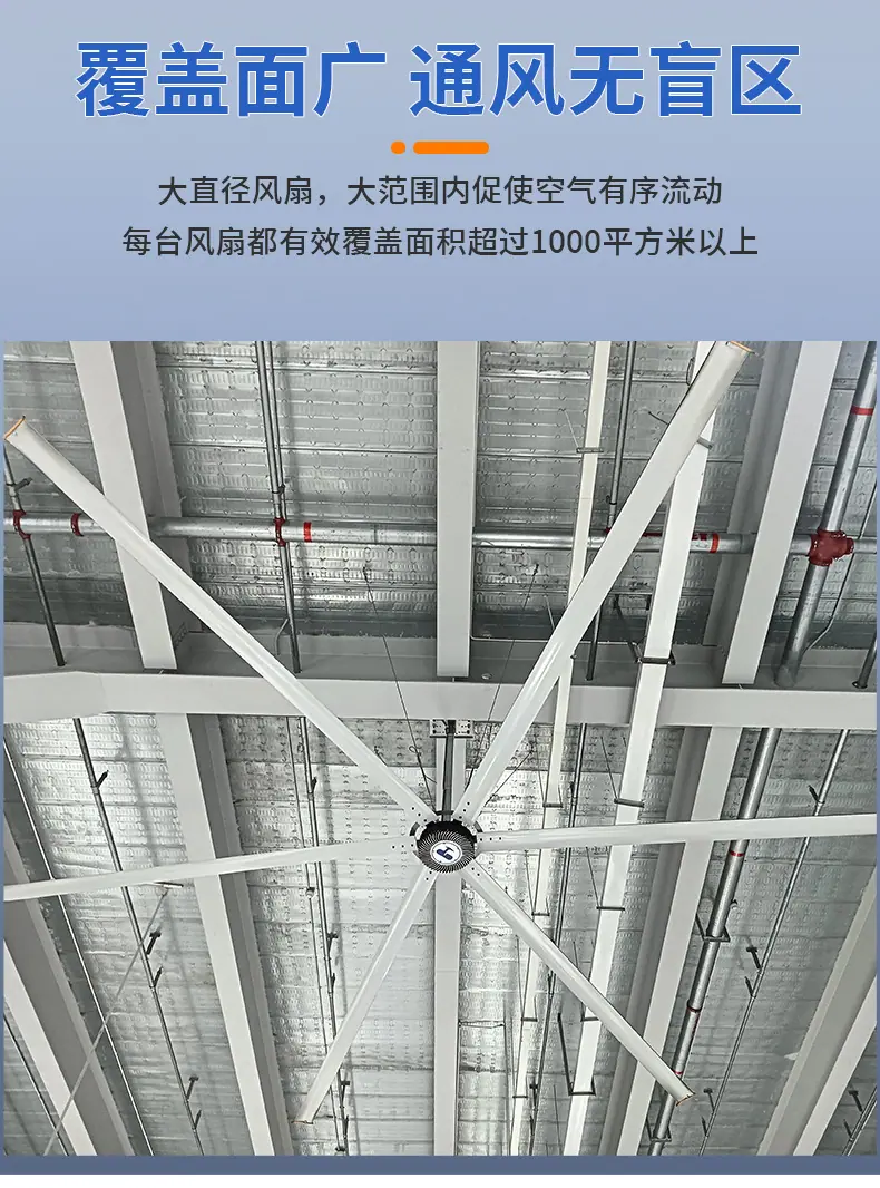 详情页_08.jpg