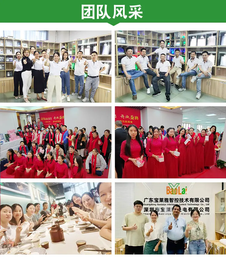 LCD段码屏