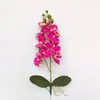 Flores Artificiais Atacado Transfronteiriço: 9 Flores, 2 Folhas, 1 Estame Amarelo, Orquídea Phalaenopsis de Haste Única, Suprimentos para Decoração de Salão de Casamento, Arranjo de Flores para Cinema