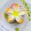 Nuevo Pasador de Pelo de Acrílico Plumeria Colorido Pinza Flor Pinza de Tiburón Elegante de Gama Alta Accesorios para el Cabello para Damas