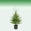 Pino Mixto con PVC Árbol de Navidad Artificial, Pino Denso, Venta Directa de Fábrica, Modelo Nuevo para Decoración de Sala de Estar y Centro Comercial, 60-240 cm, Fuente Directa