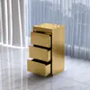 Armário de Ferramentas Armário de Aço Inoxidável Carrinho de Ferramentas para Salão de Beleza Armário de Armazenamento com Gavetas Armário para Cabeleireiro Armário Especial para Salão de Beleza