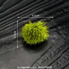 Decoração para Prato de Sashimi, Ornamentos de Flores e Grama para Sushi, Decoração de Pratos de Hotel, Embelezamentos para Frutos do Mar, Montagem Artística de Pratos, Estilo Japonês
