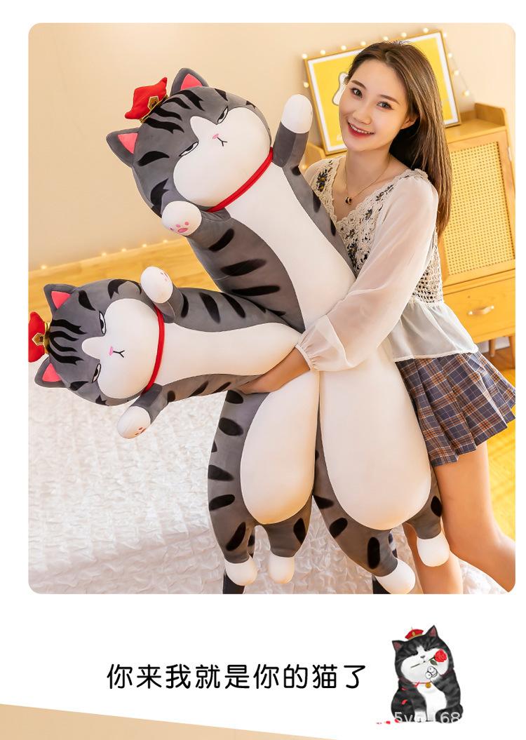 吾皇猫_10.jpg